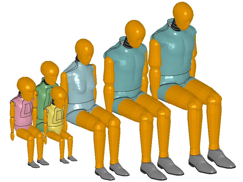 [ Crash Test Dummy Models ]