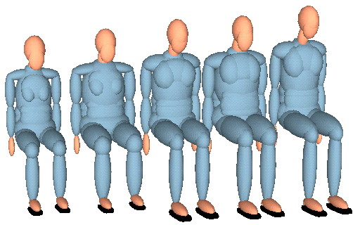 [ MADYMO Adult dummy family ]