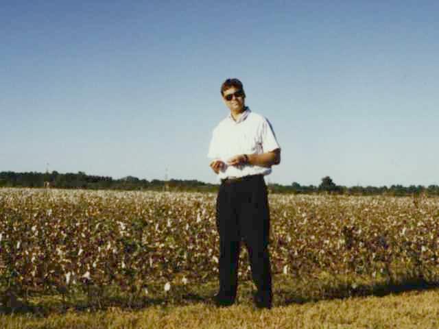 [ Cotton Fields ]