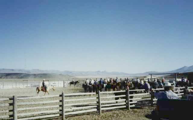[ Rodeo ]
