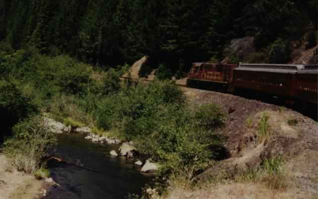 [ Skunk Train ]
